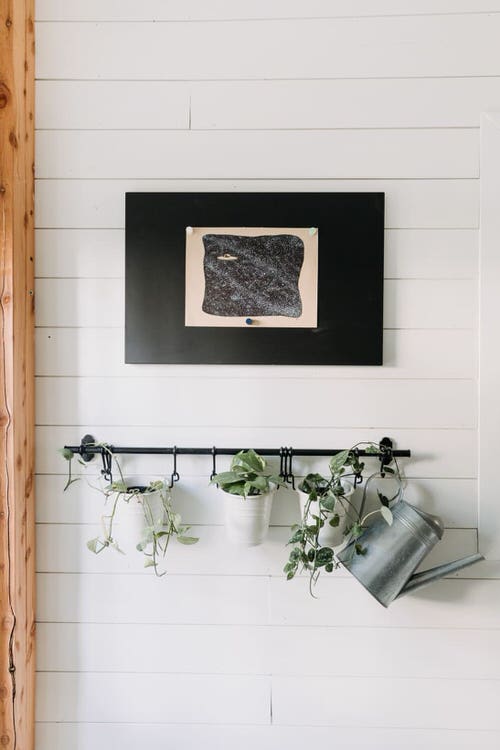 Plant Displaying Ideas 28