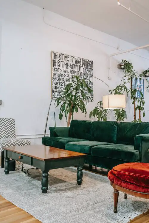 Potted Plants with a Grafitti