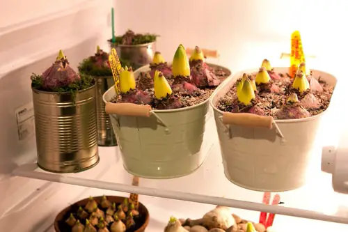Refrigerator Organization Tips and Hacks 41
