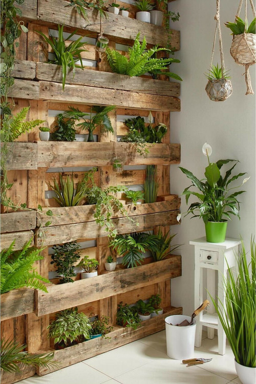 A Pallet Shelf Wall