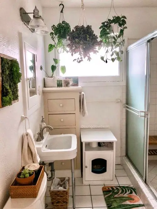 Green Frame with Hanging Baskets of Plants