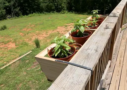Balcony Kitchen Garden Ideas with Pictures 4