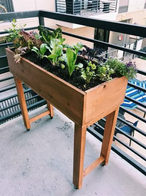 Balcony Kitchen Garden Ideas with Pictures 9