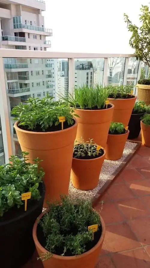 Big and Small Pots for Vegetables and Herbs