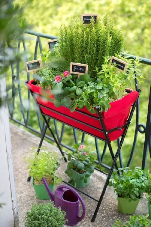 Mini Planter To Grow Different Herbs Together