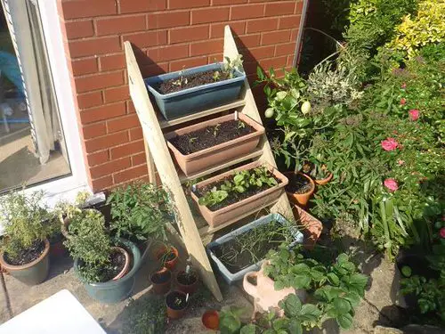 Balcony Kitchen Garden Ideas with Pictures 1