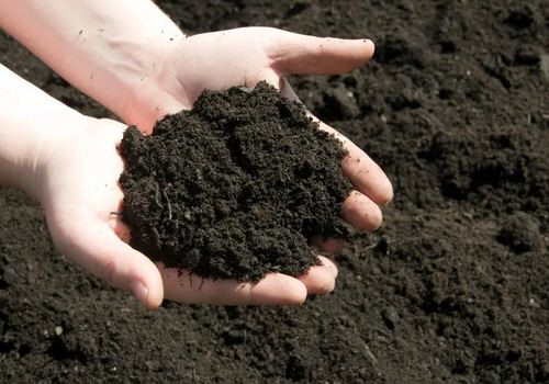 Be Peat Free