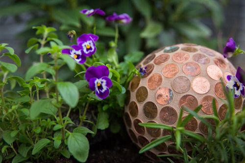 Penny Uses in the Garden 3