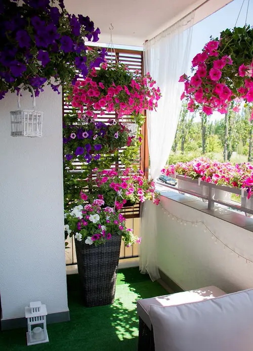 Balcony Garden Ideas for Security and Privacy 20
