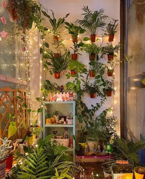 Floating Plants and Lights