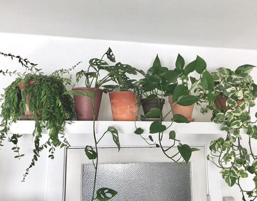 Crazy Hidden Spots in Your Home to Add More Storage to Small Spaces 26