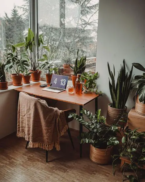 Green Home Office Desk Ideas with Plants | Home Office with Air Purifying Plants