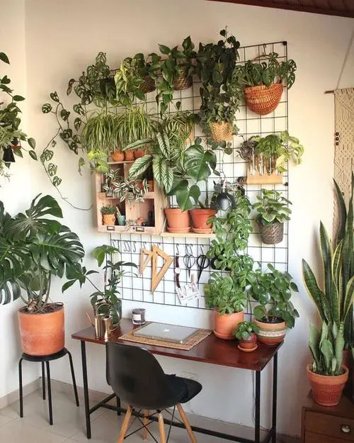 Green Home Office Desk Ideas with Plants | Wire Mesh to Hang Pots