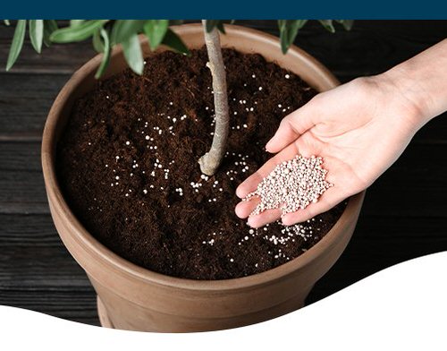 Indoor Gardening Tip 5