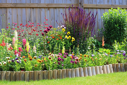 Cool Gardening Trends 4