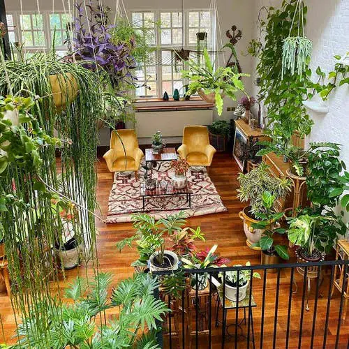A Green Living Room Decor