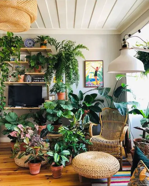 A Really Green Room