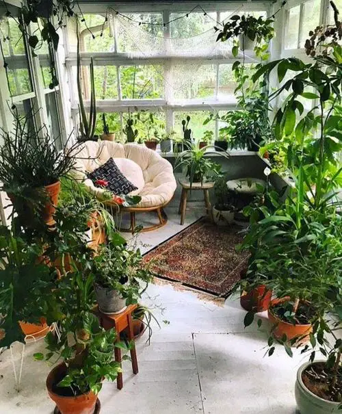 A Bohemian Indoor Forest
