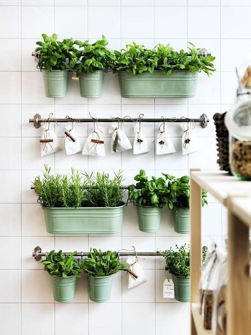 Indoor Plant Wall Decor Idea 6