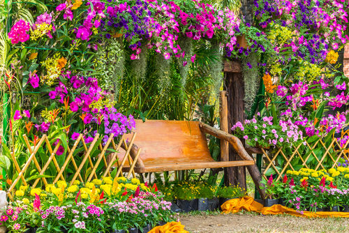 Cool Gardening Trends 2