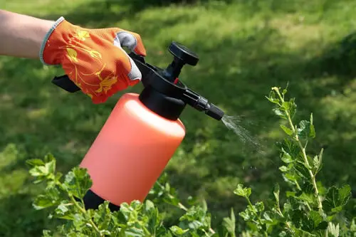 Cheap Gardening Tricks Every Gardener Should Know 78