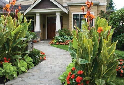 Cool Gardening Trends | Tropical Garden