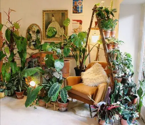 Turn Your House into Mini Forest with these Ideas A Tropical Room