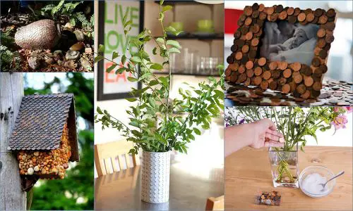 Penny Uses for Home and Garden