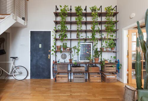 Plant Displaying Ideas