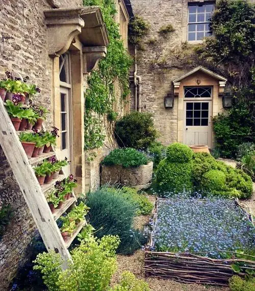 Gardening Resolutions for New Year 5