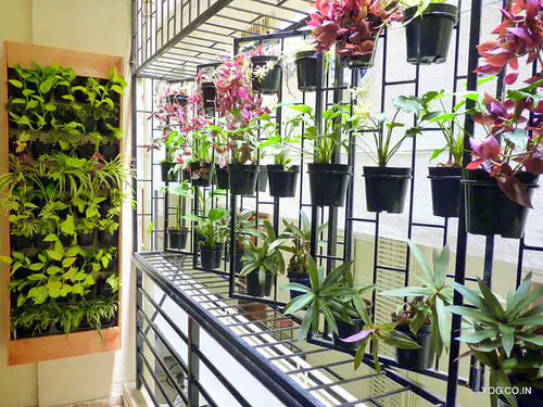 Enclosed Balcony Garden Ideas 3