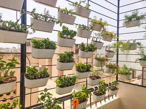 Balcony Garden Ideas for Security and Privacy 4