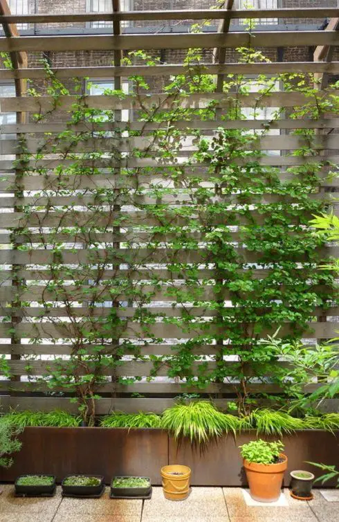 Balcony Garden Ideas for Security and Privacy 2
