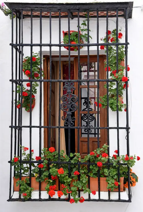 Enclosed Balcony Garden Ideas 6