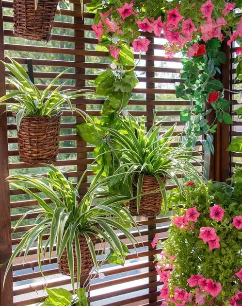 Balcony Garden Ideas for Security and Privacy 6