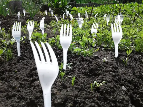 Cheap Gardening Tricks Every Gardener Should Know 85