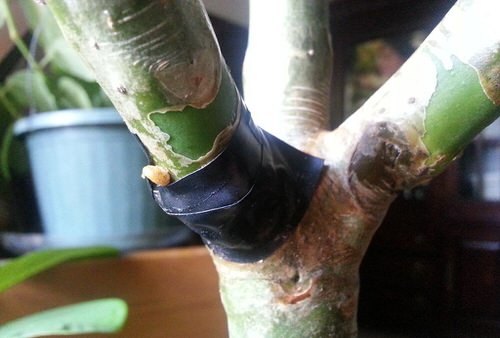 tape use to fix bent stems