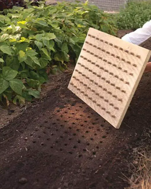 Cheap Gardening Tricks Every Gardener Should Know 84