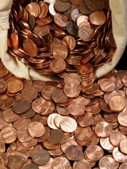 How a Penny Can be Useful in the Garden?
