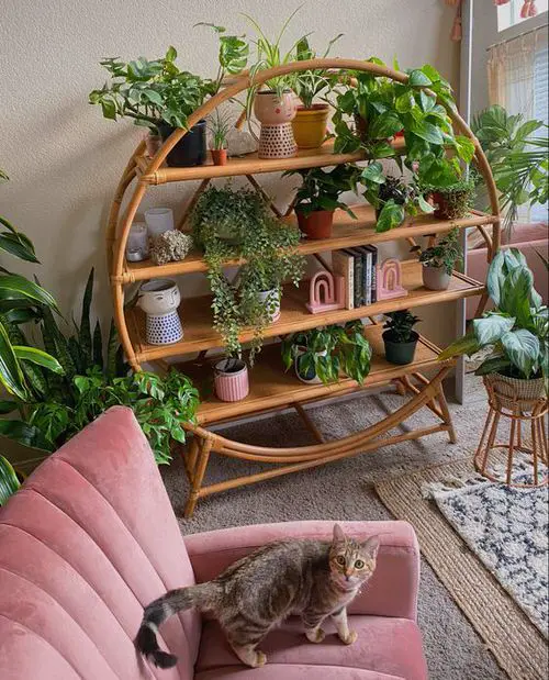 A Plastic Round Shelf