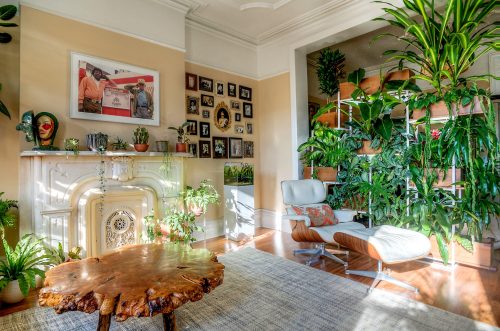 Cool Gardening Trends 1