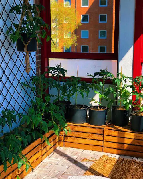Planters with Wire Mesh Grill