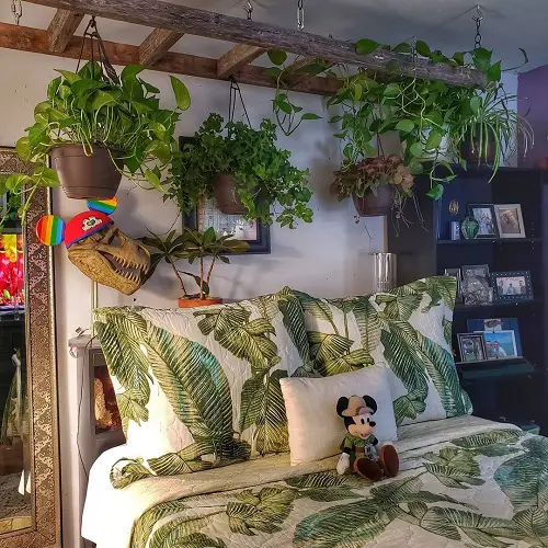 Hanging Ladder in a Bedroom to Hang Plants