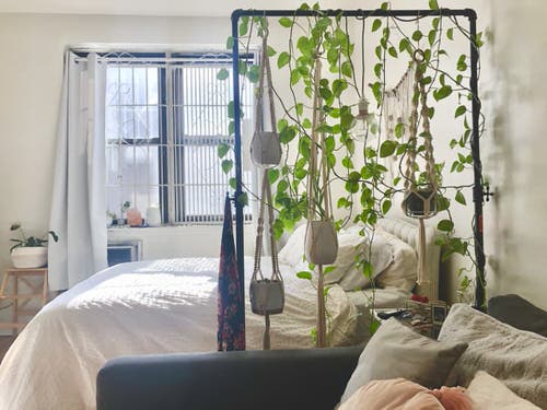  Use Cloth Rack as Planter