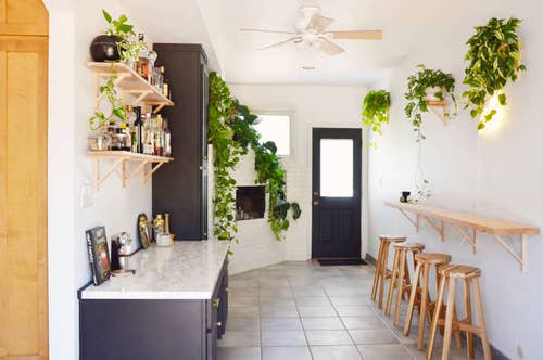 Plant Displaying Ideas 62