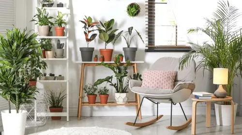 Table and a Tall Shelf for Containers
