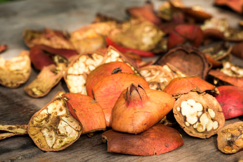 Pomegranate Peel Uses in the Garden