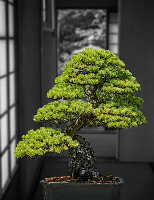 Home decor with plant idea 22
