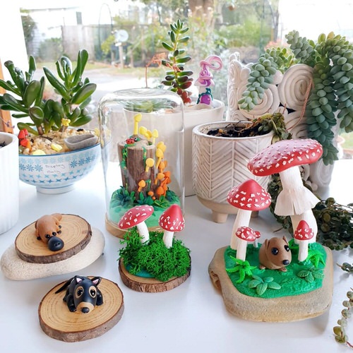 Colorful Interior Ideas with Beautiful Houseplants 7