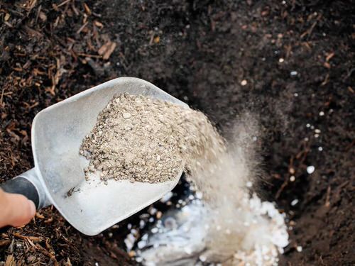 DIY Rose Fertilizers  11